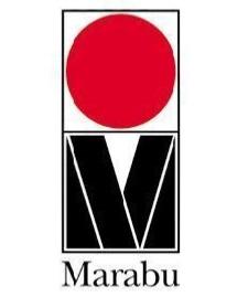 ...Encres EcoSolvant Mara® Jet DI-2TV